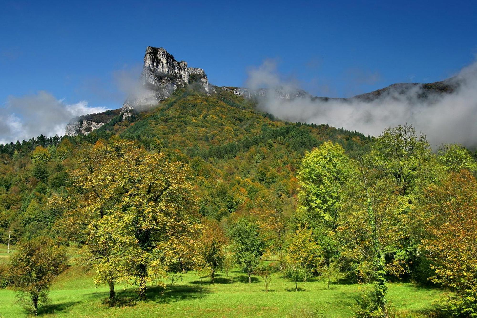 Hotel Kovac Osilnica エクステリア 写真